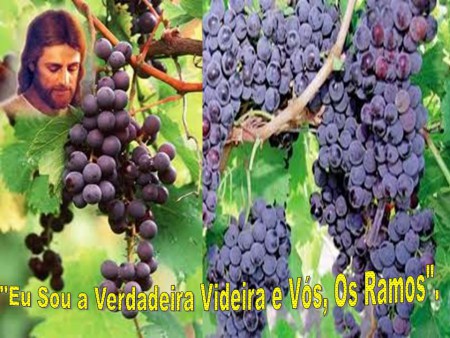 O VERDADEIRO ALIMENTO - "ASSISTA O VÍDEO"